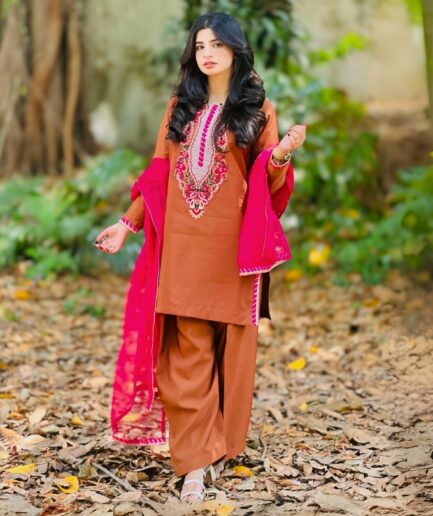 3-piece Embroidered Brown Raw Silk Dress