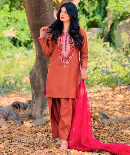 3-piece Embroidered Brown Raw Silk Dress